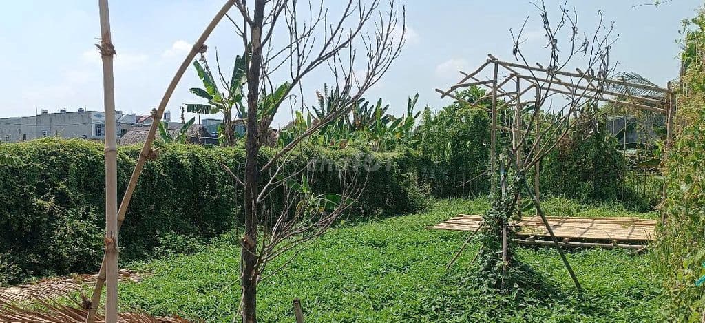 Đất đường Bình Mỹ ô tô thông, 10x25m, tiện xây nhà vườn.