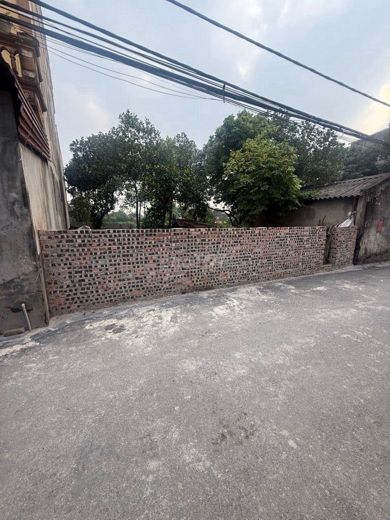 Bán đất OTO tránh, đường Cổ Loa,80m, mặt tiền 8m. Đường thông - Ảnh 3