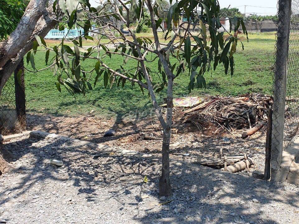 Bán 1000m2 đất Hưng Long, quy hoạch dân cư xây mới - Ảnh 3