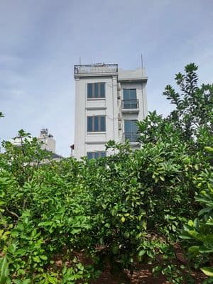 Cho thuê căn hộ cao cấp phường Tây Tựu