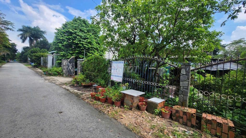 CÒN *** LÔ ĐẤT XÃ TÂN THÔNG HỘI, 188m2, SHR, 850TR - Ảnh 2