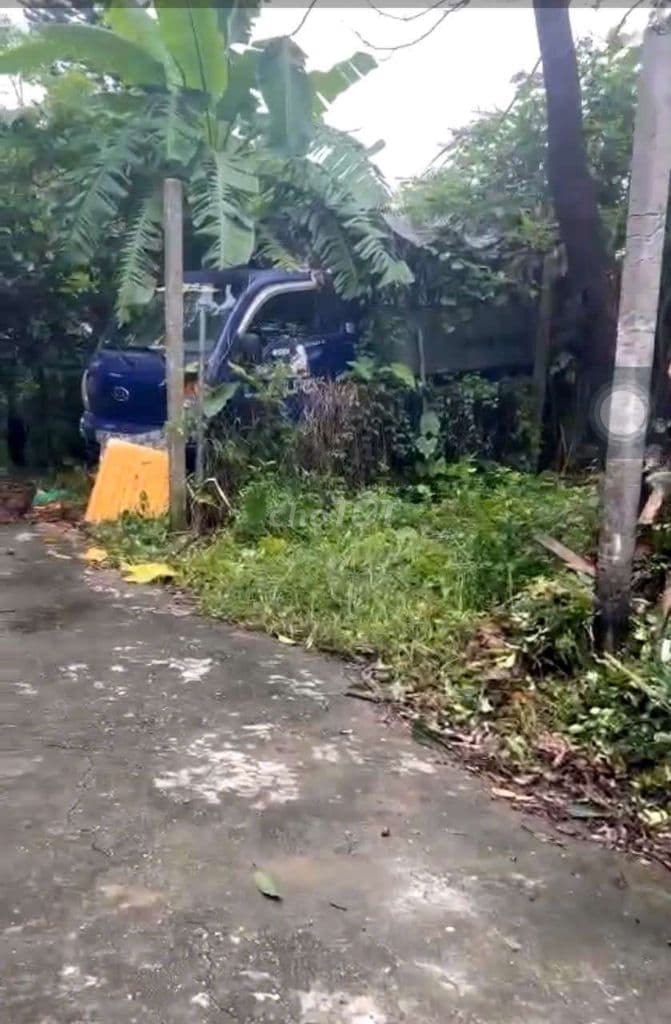 Bán vườn tại Phú Diễn, đẹp oto vào tận nơi - Ảnh 3