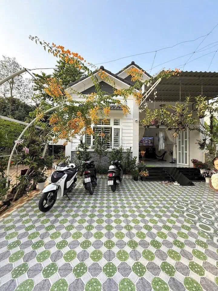 Bán căn nhà vườn 410m2 - SHR ở gần Bến Xe Củ Chi giá ngộp 1 tỉ 250tr - Ảnh 2