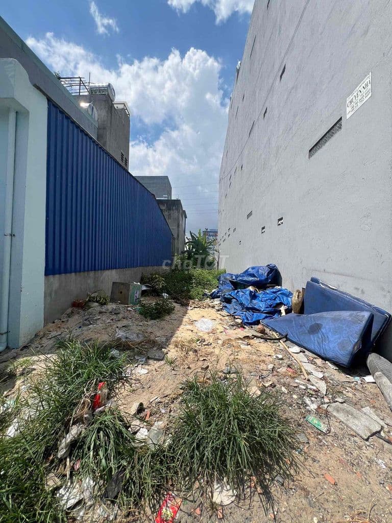 Toi chính chủ cần bán dất đẹp giá tốt - Ảnh 3