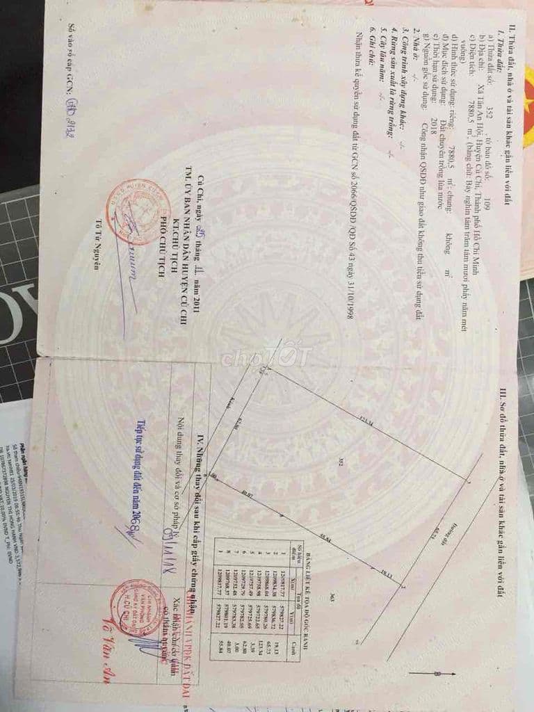 Cần bán 2 hecta đất ngay thị trấn củ chi. - Ảnh 2