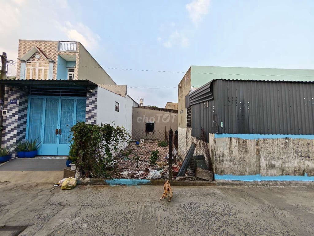 lô đất gần 140m2 vị trí cực đẹp ngay nhà văn hoá Tân Thới Nhì - Ảnh 3