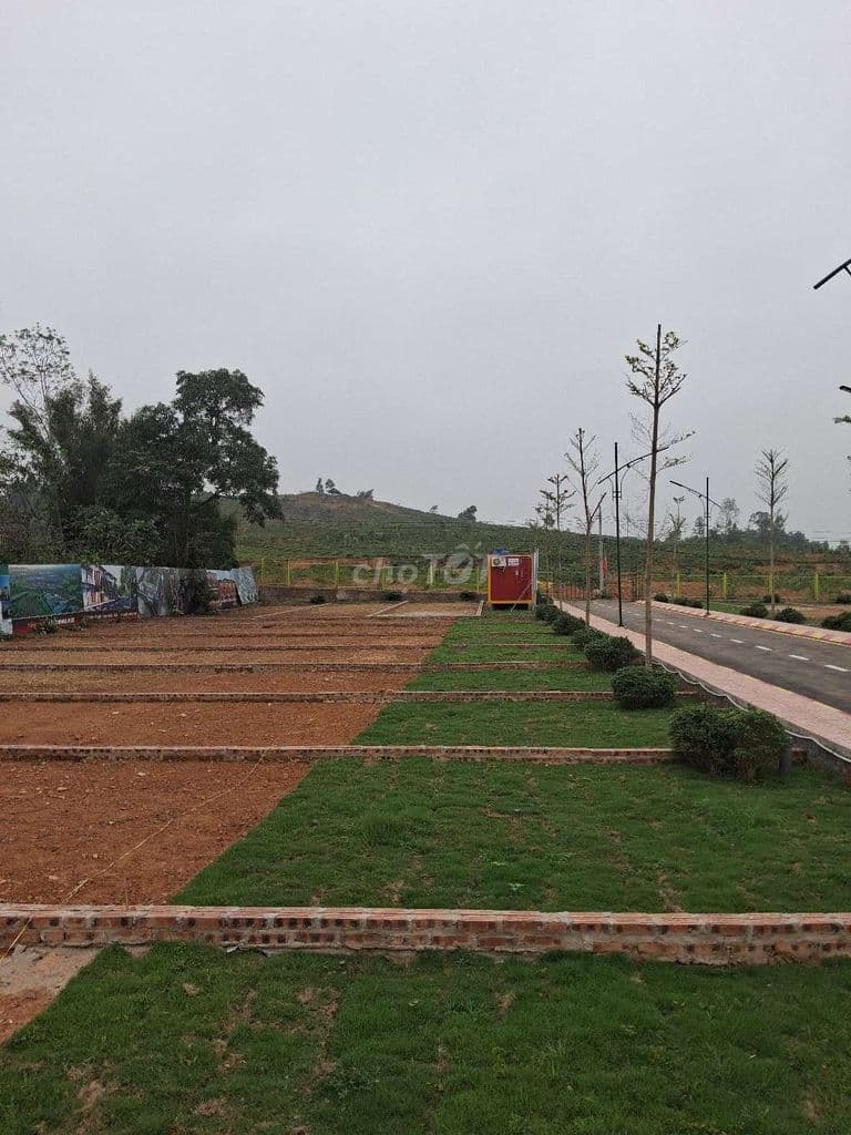 Đất thổ cư - Ảnh 2