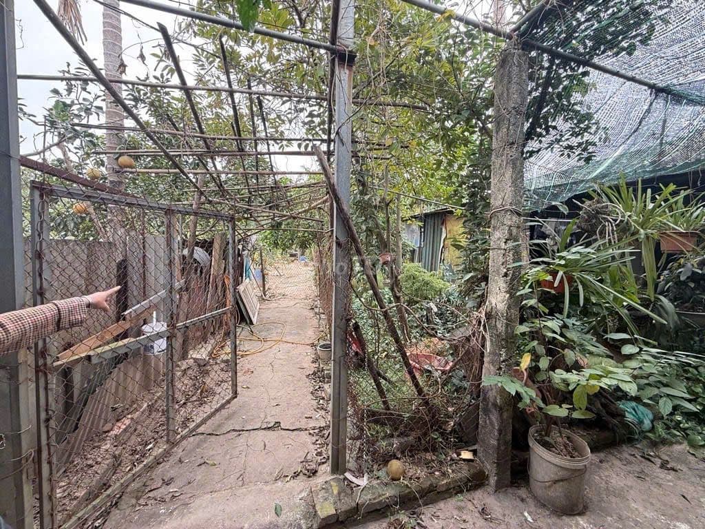 🌈 🌈 Bán 810m2 Trang Trại Thôn Đìa, Nam Hồng – Sẵn Nhà, sân, vườn - Ảnh 2