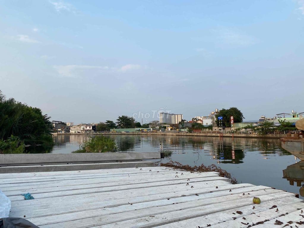 cần tiền bán đất vườn xã hình hưng bình chánh quốc lộ 50 - Ảnh 2