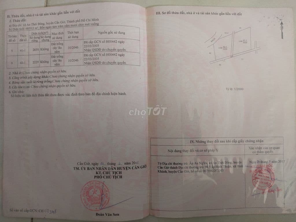 Bán đất cây lâu năm mặt tiền đường Rừng Sác, huyện Cần Giờ, TP. HCM. - Ảnh 2