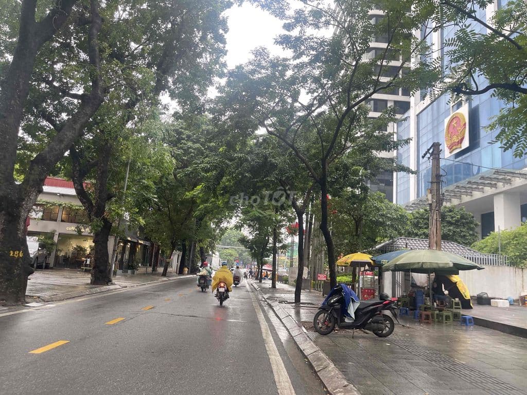 Bán đất 574m2 mặt phố Đội Cấn trung tâm quận Ba Đình. - Ảnh 2