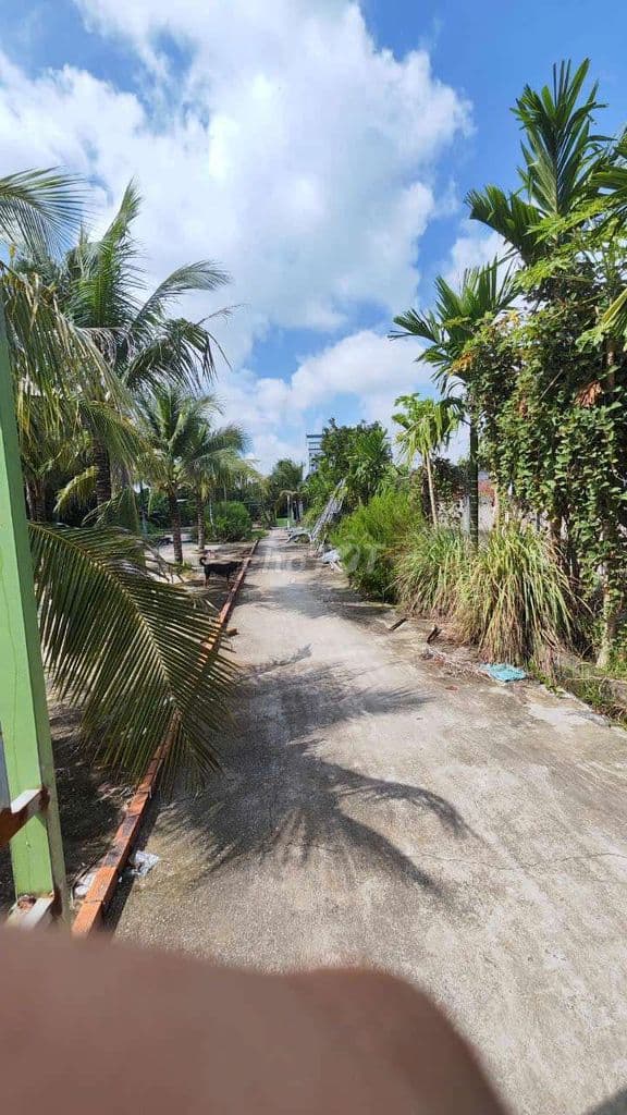ĐẤT VƯỜN LÀI - AN PHÚ ĐÔNG 848M2 32 TỶ