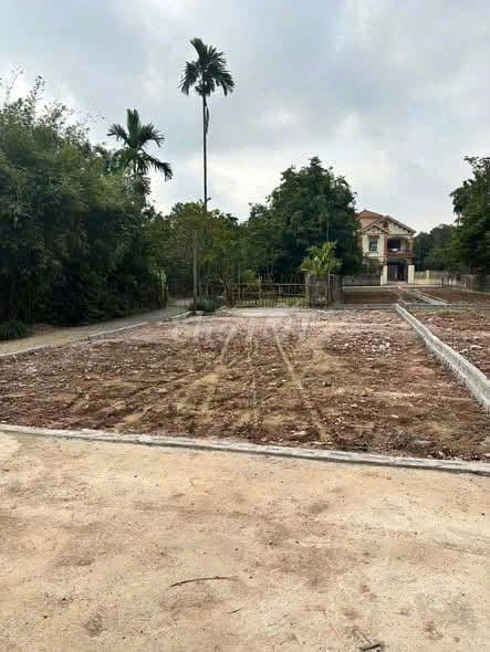 Bán đất thổ cư Hoà Lạc, mặt đường ô tô tránh, 105m2, mt 7,7M.