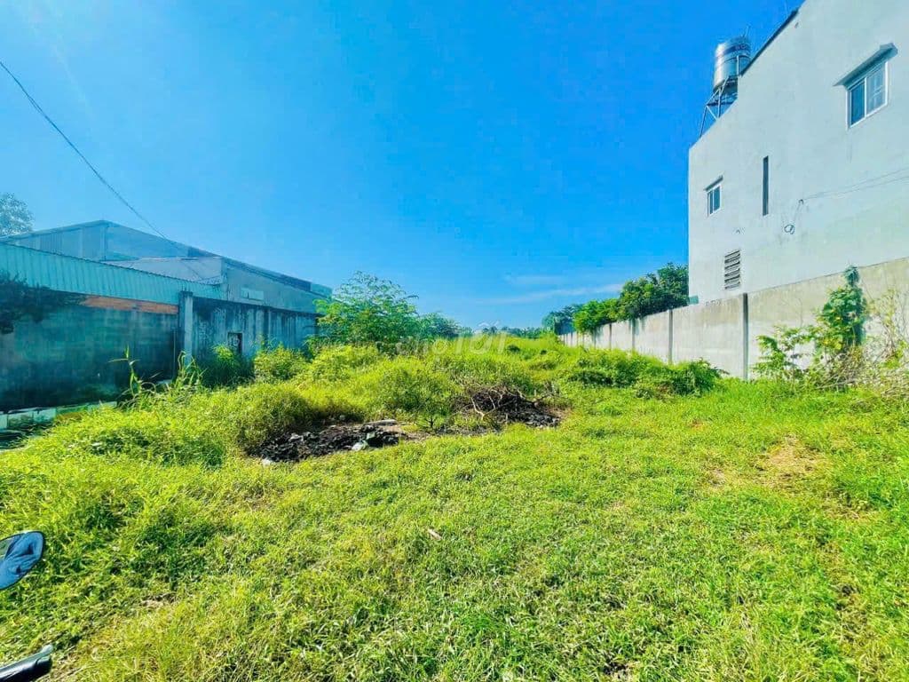 Bán lô đất 136m2 Tân Phú Trung gần Chợ Giồng Cát thổ cư xây nhà tự do - Ảnh 2