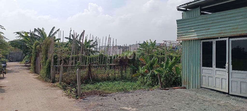 Bán nền đất đường hẻm Bình Mỹ, dựng nhà ở liền. - Ảnh 3