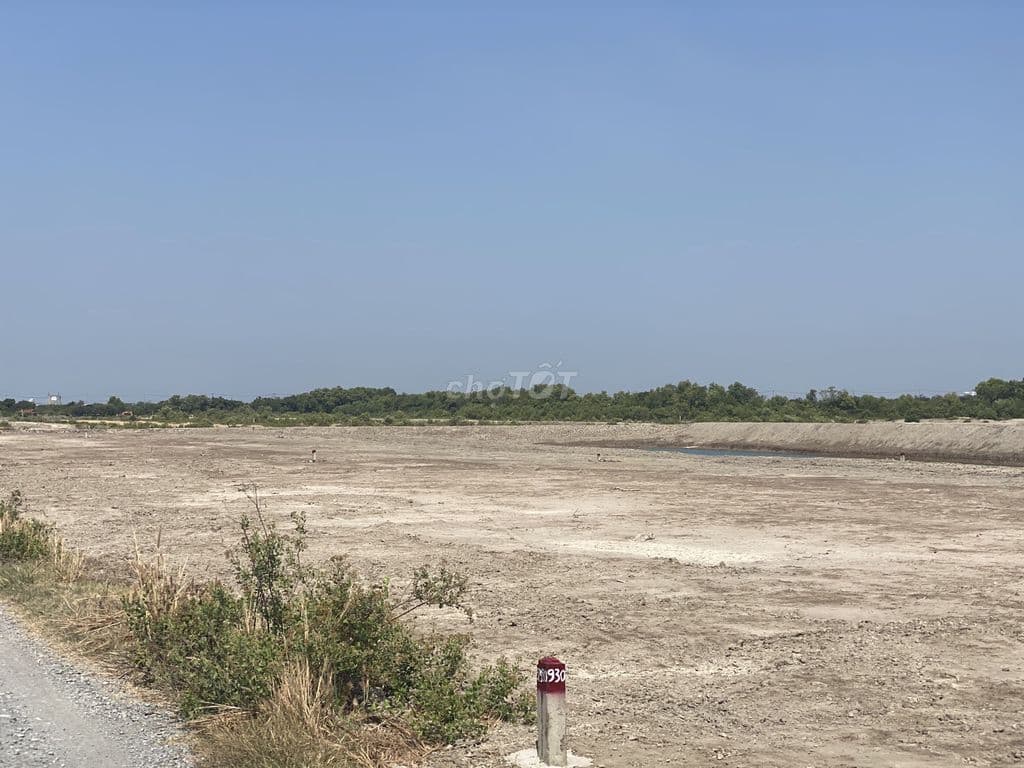 CHỈ CHƯA ĐẾN 2 TỶ BẠN ĐÃ CÓ NGAY 1.500M2 ĐẤT CẦN GIỜ - Ảnh 3