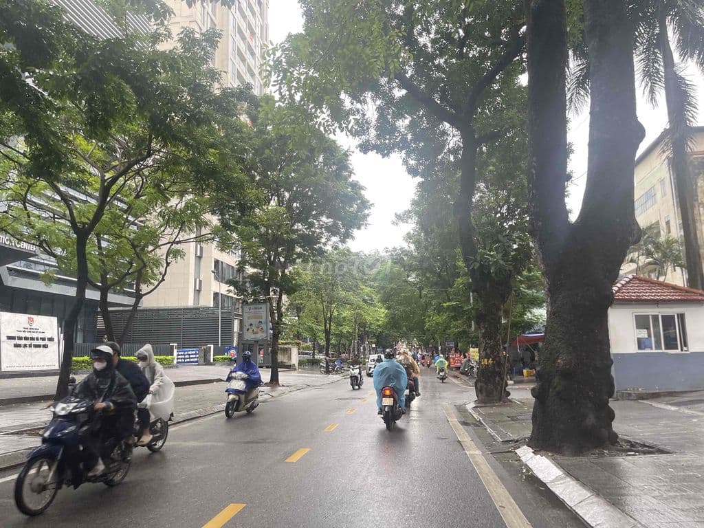 Bán đất 574m2 mặt phố Đội Cấn trung tâm quận Ba Đình. - Ảnh 3