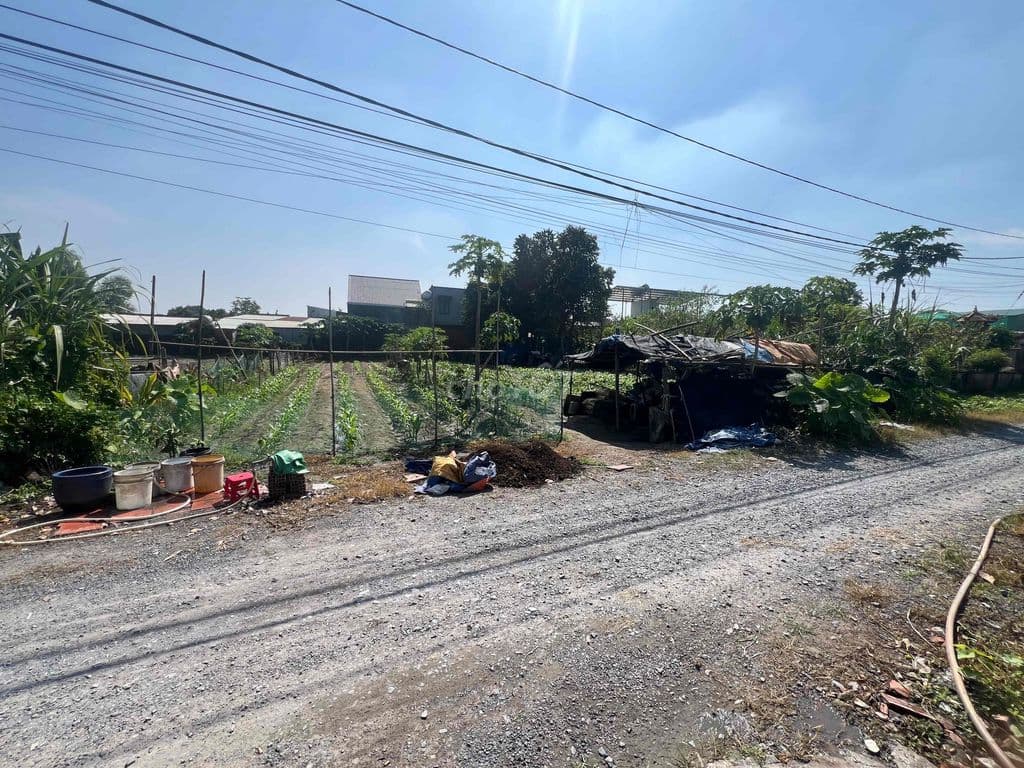 Đất chính chủ 12,5 x37m 450m2 Tân Thạnh Đông , Củ Chi