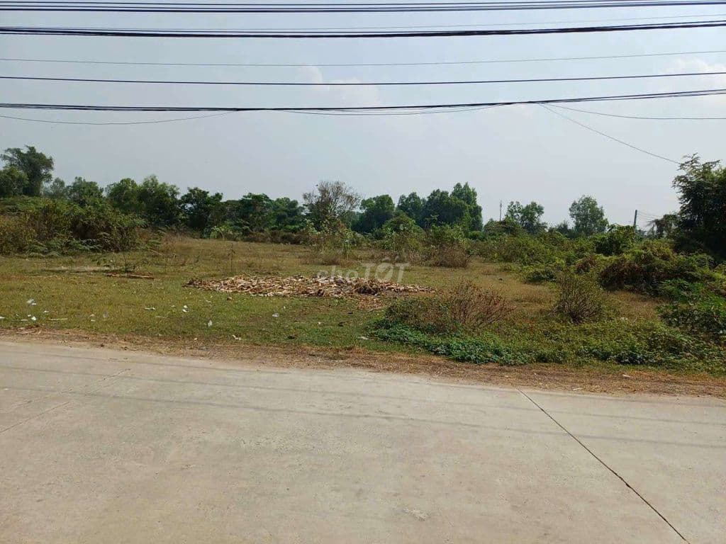 🌿 SIÊU PHẨM ĐẤT LỚN HIẾM –2 LÔ ĐẤT MỖI LÔ HƠN 1000m² TỔNG HƠN 2000m, - Ảnh 3