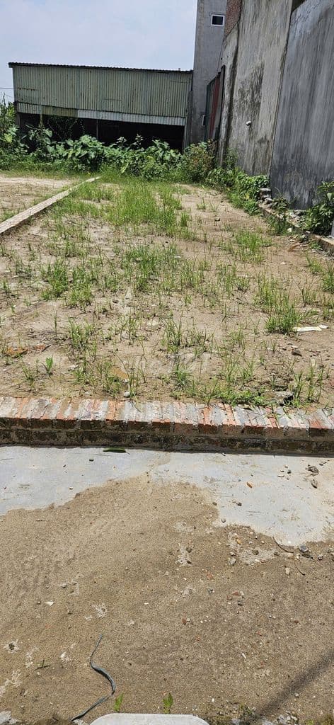 Đất Đẹp 116m2 Full thổ Cư tại Tổ 9 TT Quang Minh - Đường Ô Tô Thông