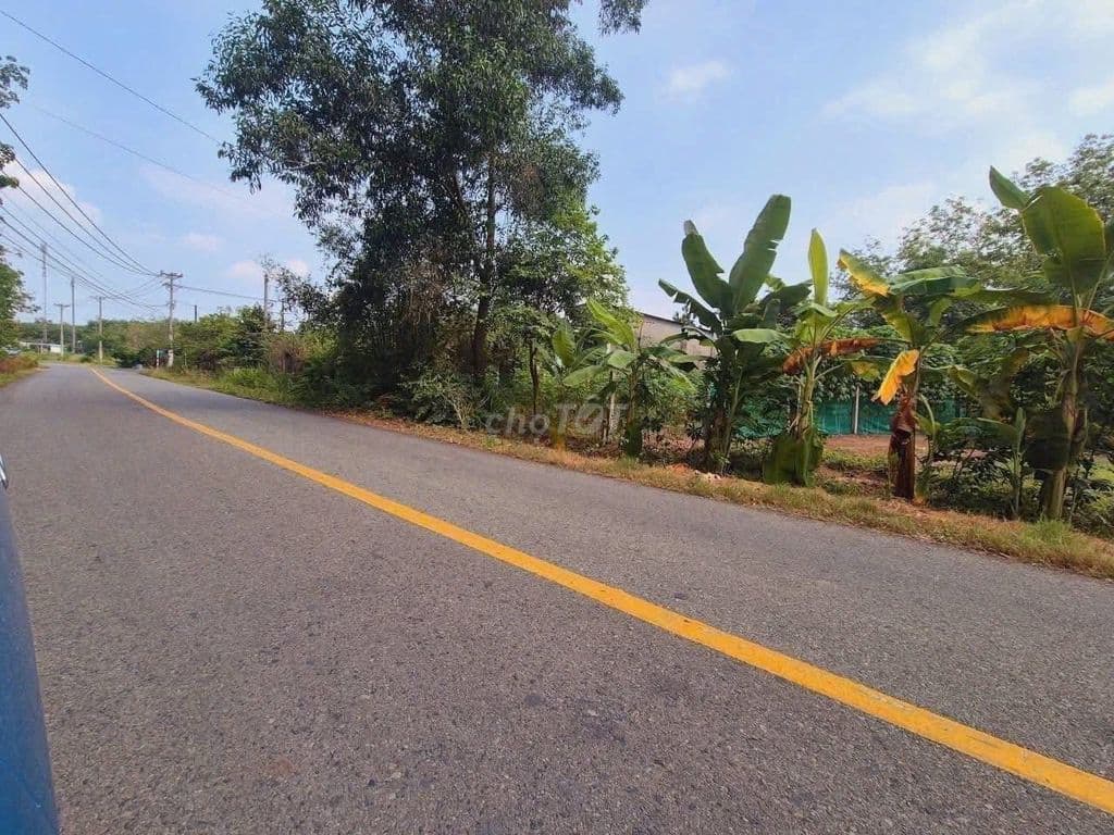 Bán đất rẻ Gần chợ An Nhơn Tây - 184m2 có 150m Tc, Mt đường lớn SHR - Ảnh 2