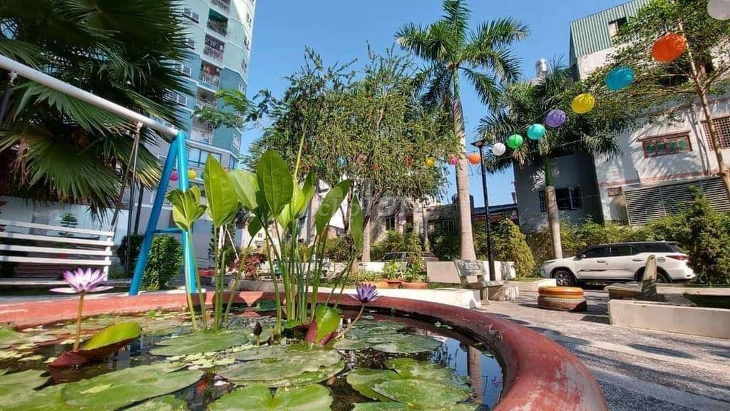 BÁN CĂN 1PN 🍒 2PN 🫒 CHỜ SỔ 🍍 TÔ HIỆU - Ảnh 3