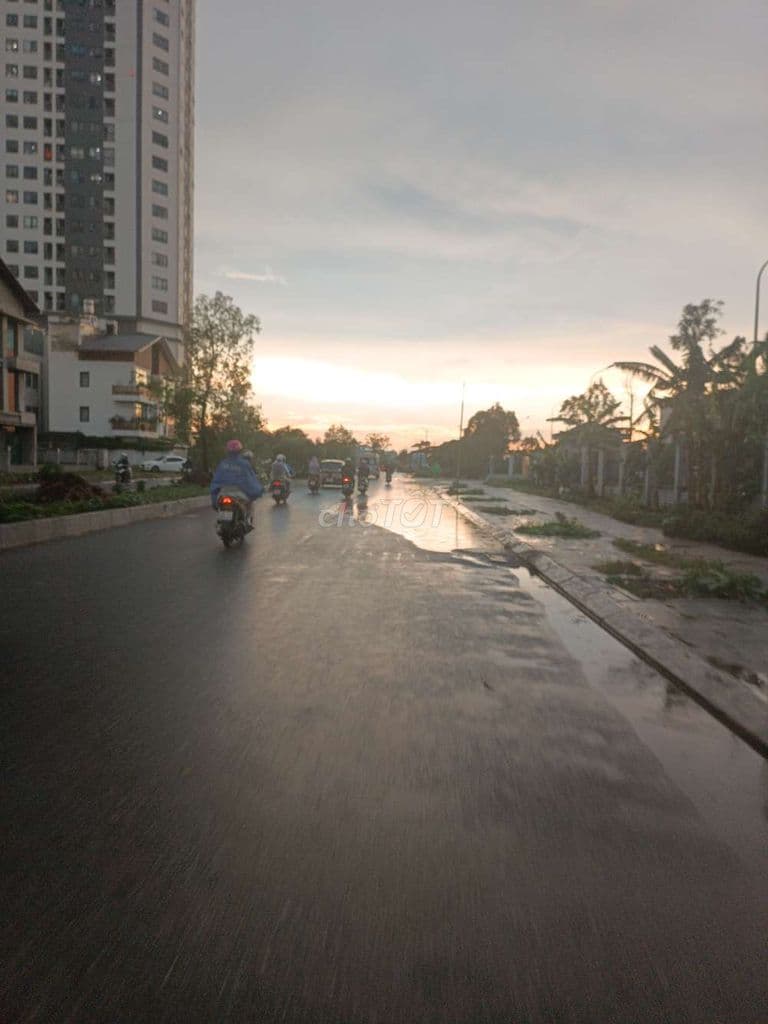 Đất dịch vụ Dương Nội, đối diện Aeon Mall Hà Đông. - Ảnh 3