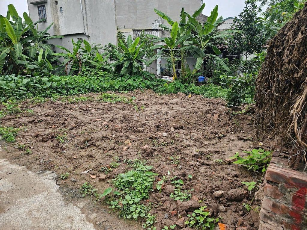 Đất Thổ cư SĐCC 34.8m2 Đồng Mai, Phường Yên Nghĩa, Hà Nội - Ảnh 3