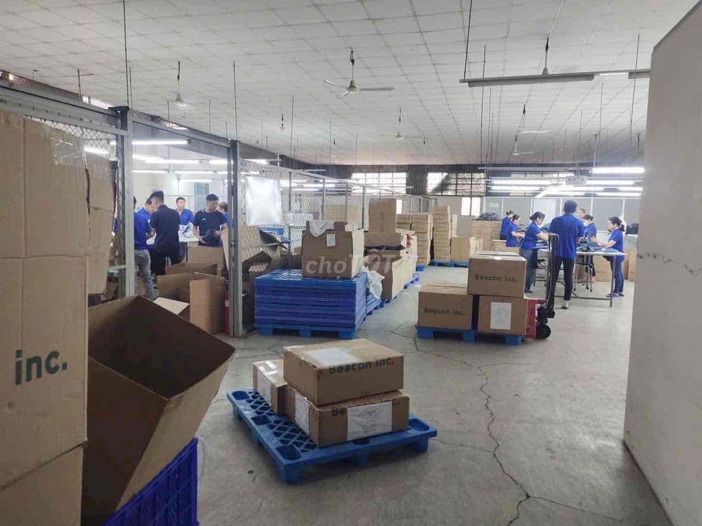 CHO THUÊ KHO XƯỞNG GÒ VẤP 700m2 - Ảnh 3