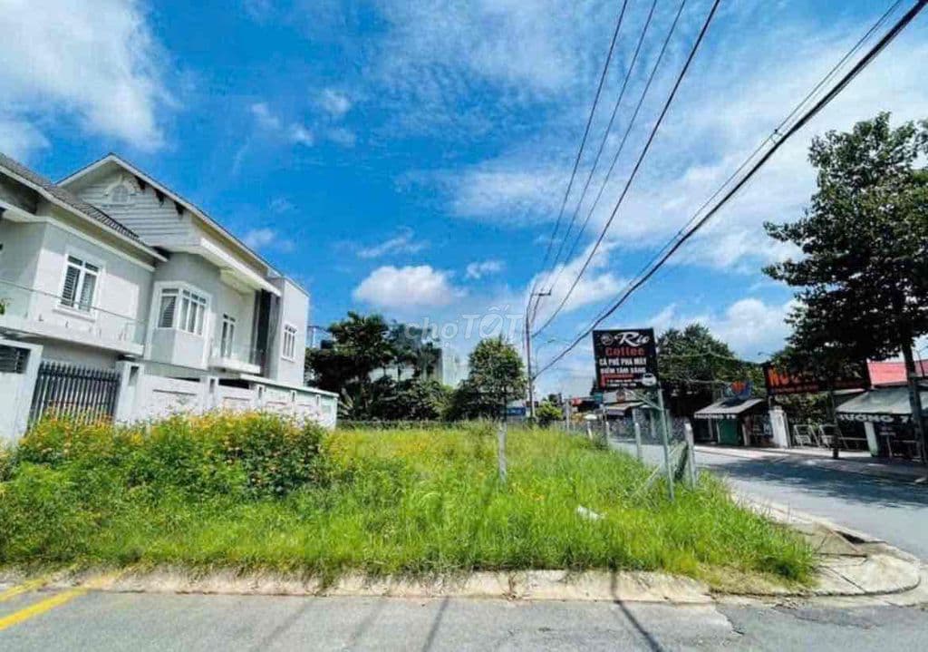 ĐẤT NGỘP GÓC 2MT TT. CỦ CHI 216M2 THỔ CƯ FULL GIÁ 530TR - Ảnh 2