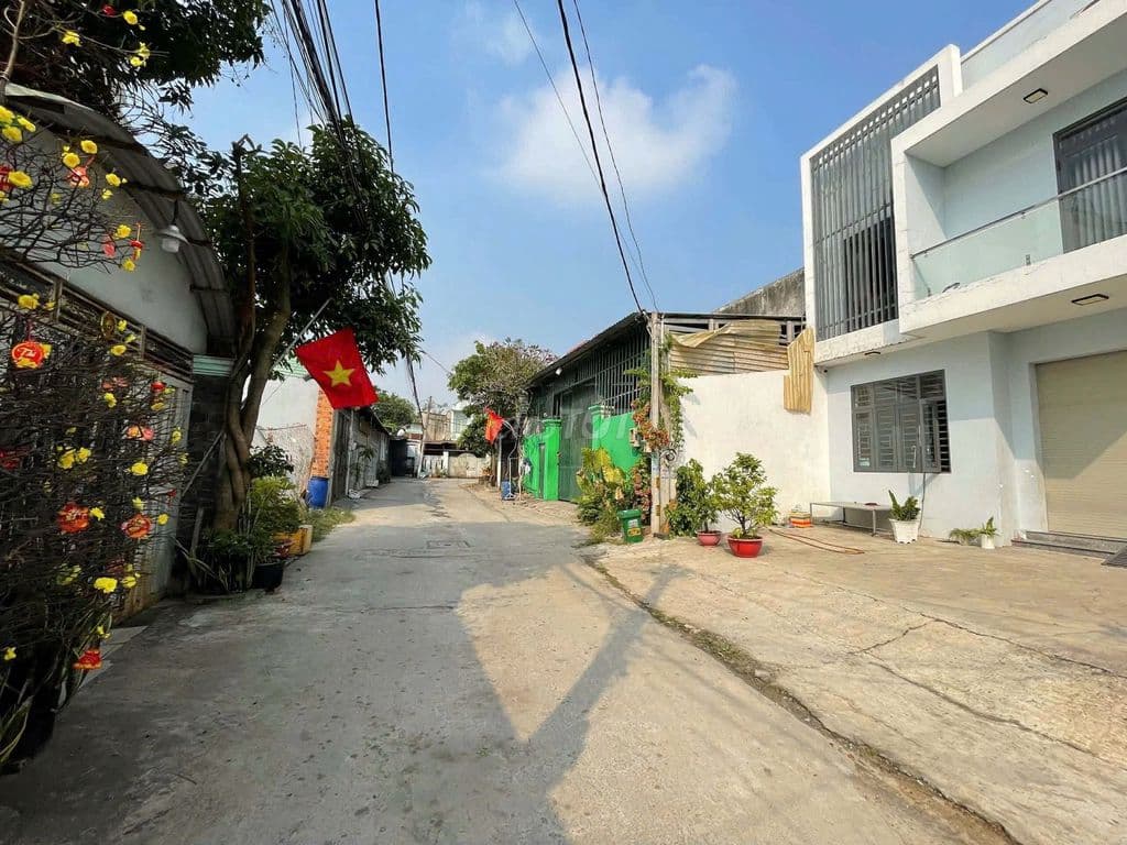 Đất Diện tích lớn giá rẻ ở Hóc Môn 234m2. Hàng Ngộp cần bán gấp. SHR - Ảnh 3