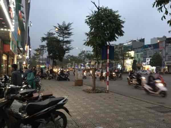 MẶT PHỐ TRẦN QUỐC HOÀN, CẦU GIẤY 45m , 31tỷ , KD , LÔ GÓC , VỈA HÈ - Ảnh 3