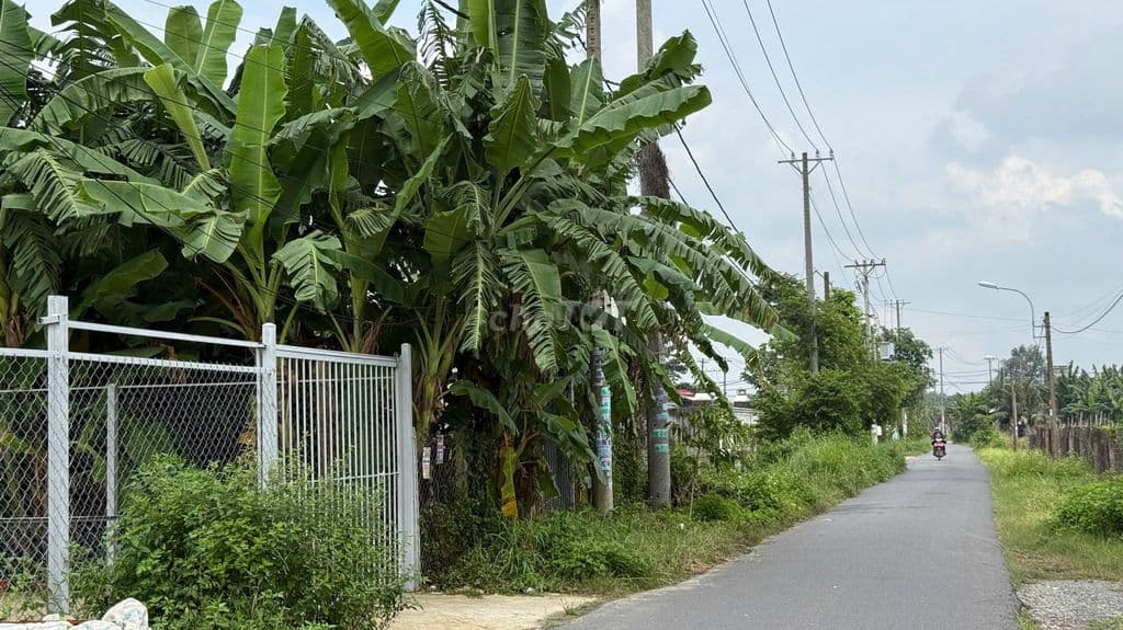 CHÍNH CHỦ CẦN BÁN ĐẤT MẶT TIỀN - Ảnh 2