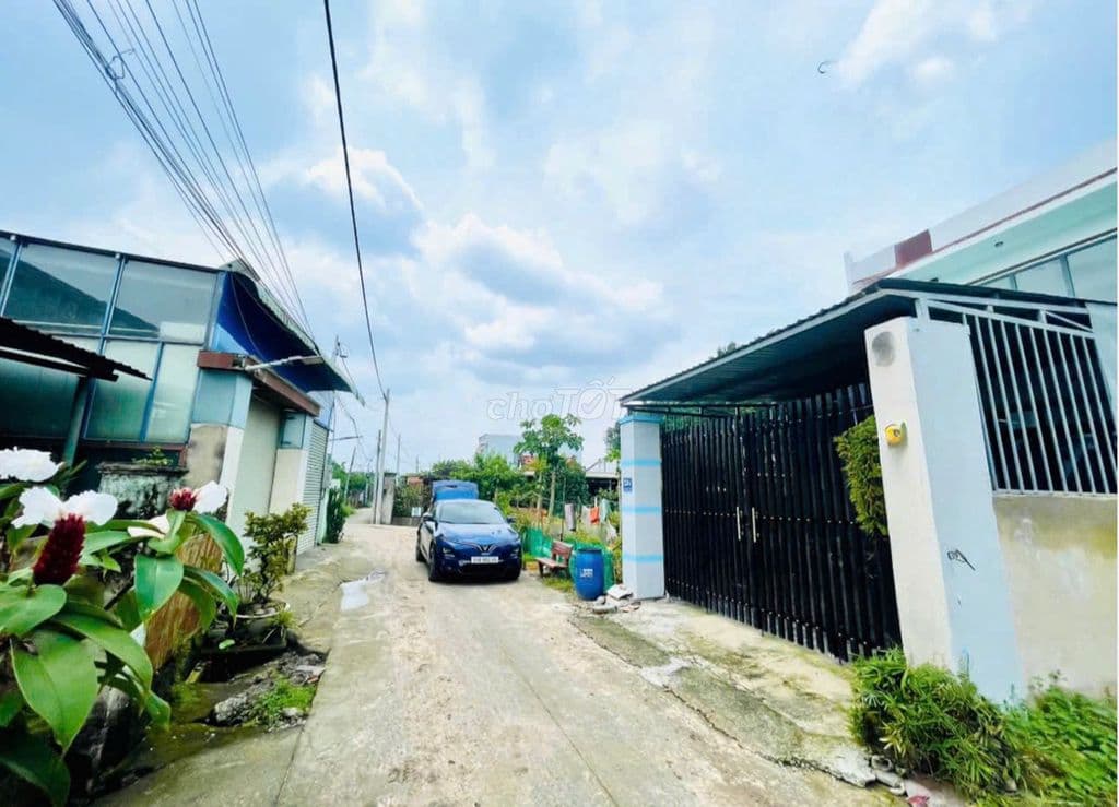 đất ngộp cần bán gấp thanh toán nợ 450tr Tân Thông Hội, Củ Chi - Ảnh 3