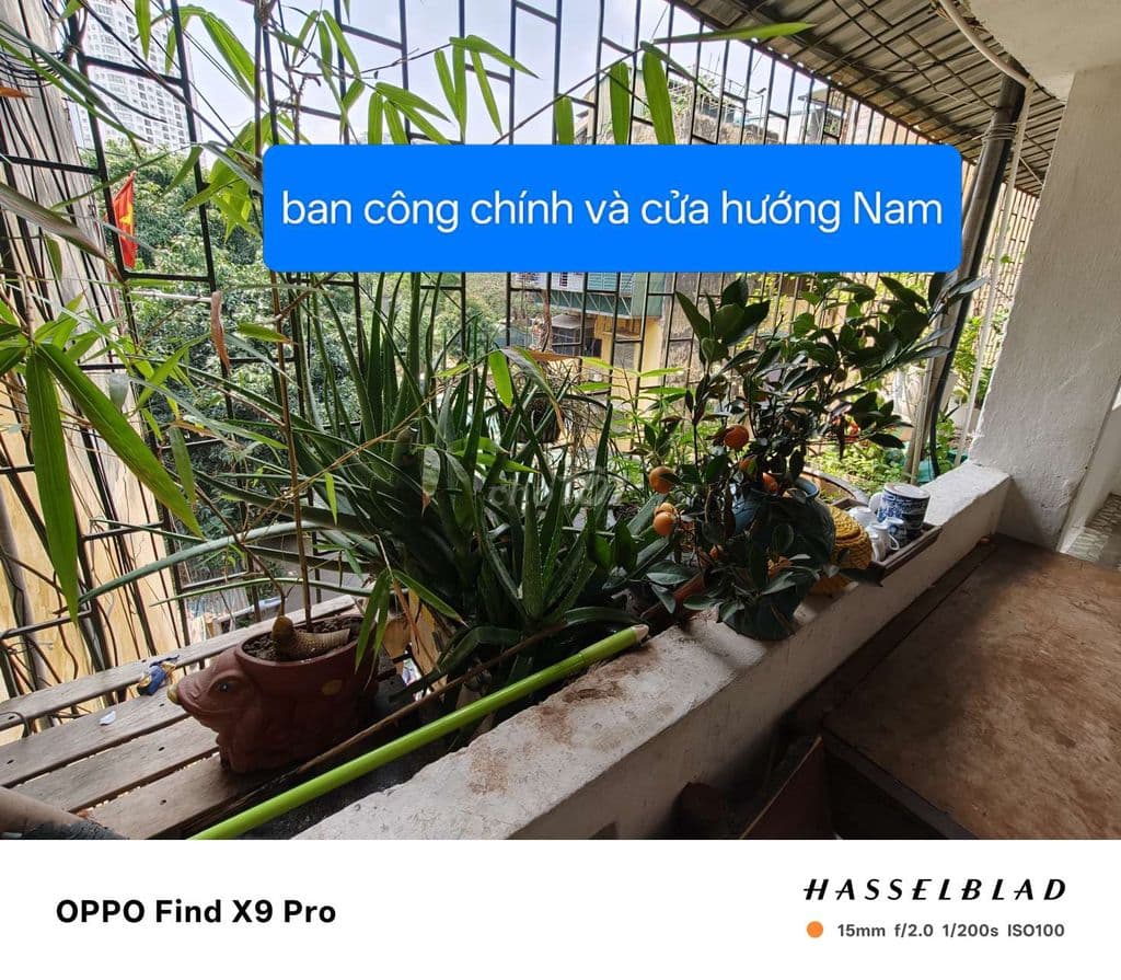 tập thể Nghĩa Tân, căn góc, 80m, 3p ngủ - Ảnh 2