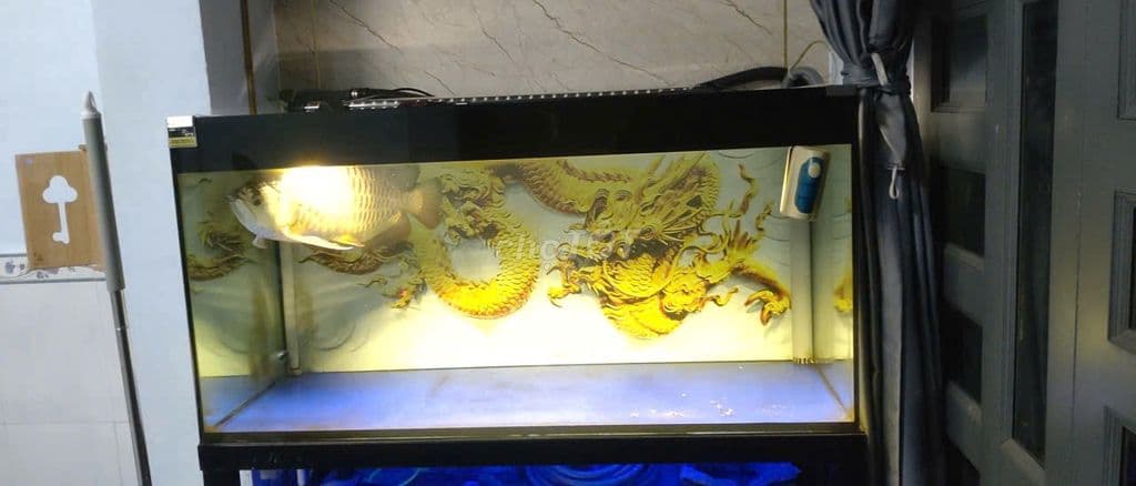 Nhà cần bán - Ảnh 2