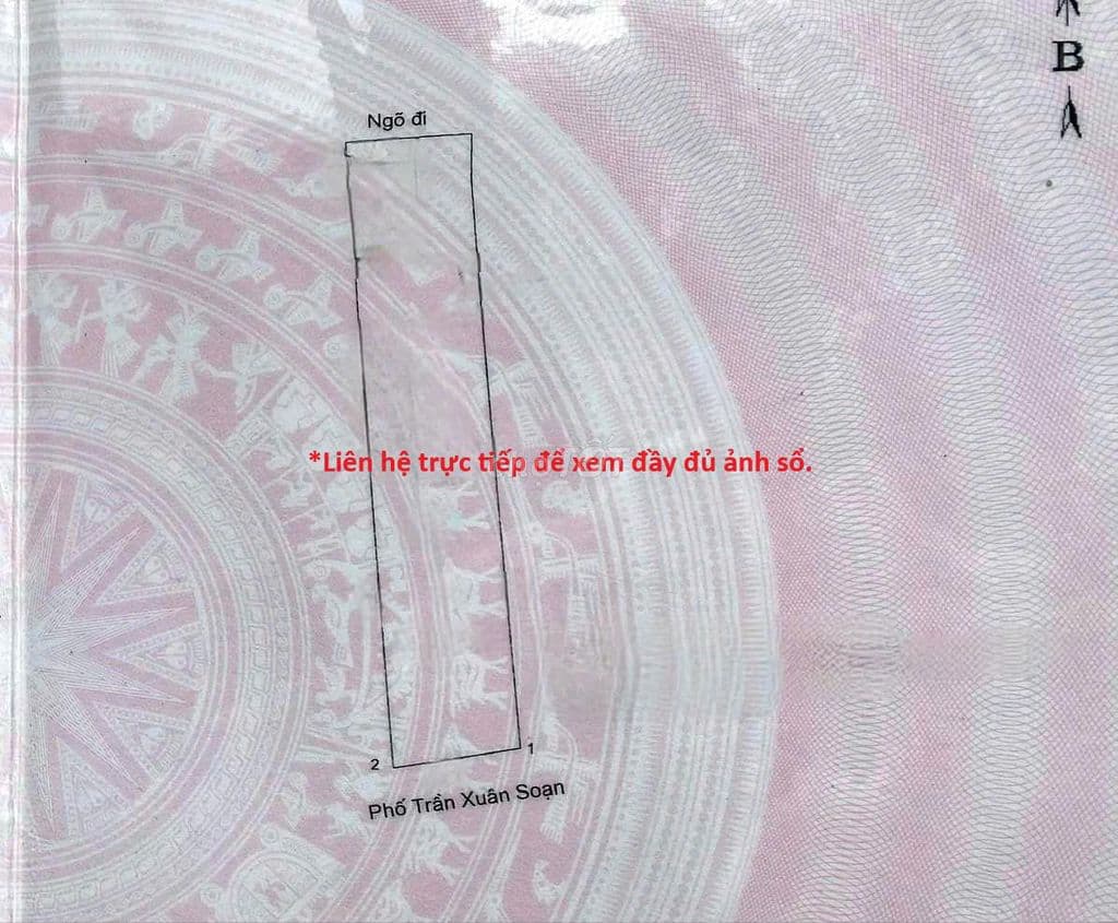 Mặt tiền kim cương Trần Xuân Soạn Phố Huế. Pháp lý chuẩn - Ảnh 3