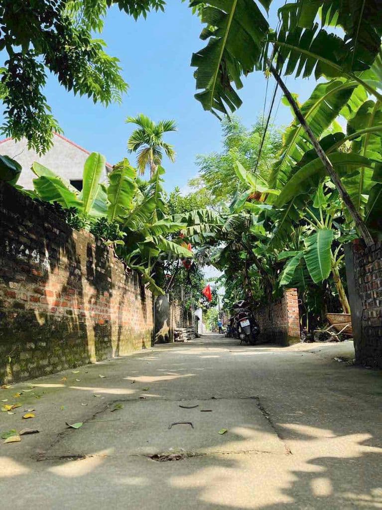 Đất hồng hà đan phượng