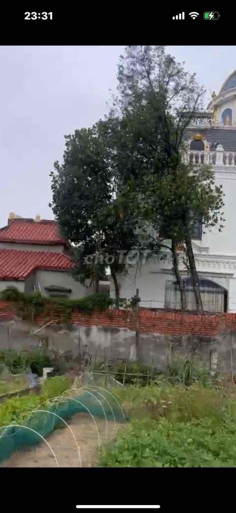 chính chủ cần bán mảnh đất - Ảnh 2