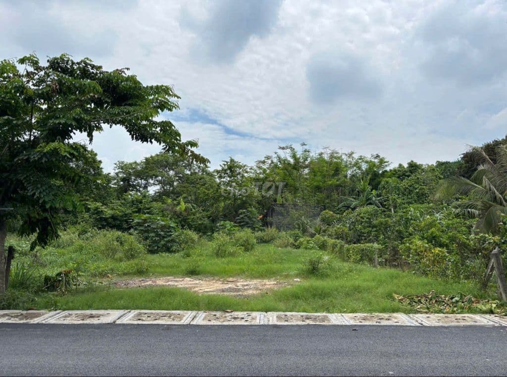 Đất Thổ cư Thị trấn Củ Chi, 224,5m2 SHR, bán gấp 900tr thương lượng - Ảnh 2