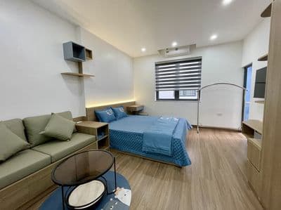 Cho thuê căn hộ cao cấp Waterfront City, 1 ngủ tách bếp (40m2)
