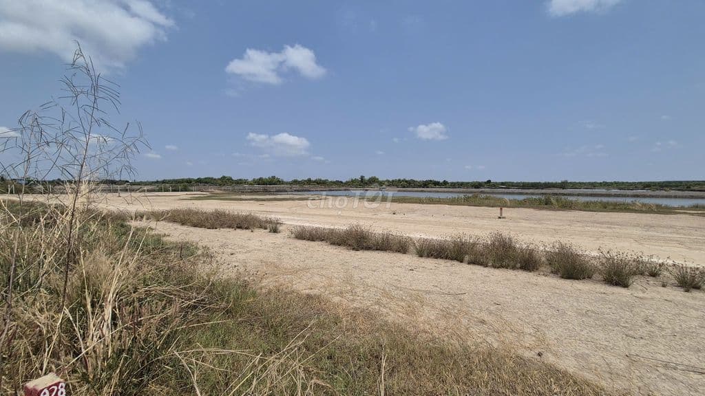 CHỈ CHƯA ĐẾN 2 TỶ BẠN ĐÃ CÓ NGAY 1.500M2 ĐẤT CẦN GIỜ - Ảnh 2