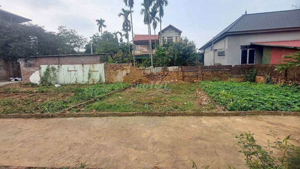 Chỉ 1,45 tỷ tôi chính chủ bán 41m đất xã Trạch Mỹ Lộc, Phúc Thọ, HN - Ảnh 2