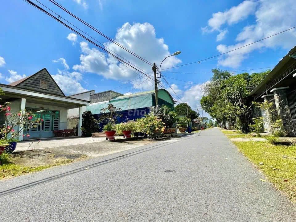 BÁN GẤP 500M2(10x50) ĐẤT MT NGUYỄN VIẾT XUÂN, TT CỦ CHI GIÁ 420TR SHR - Ảnh 3