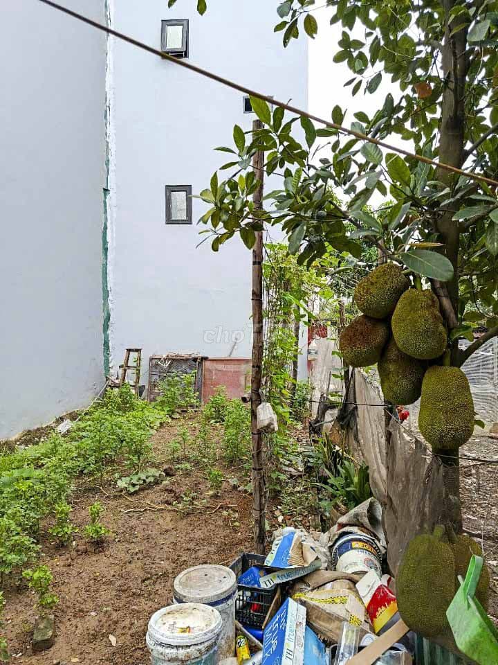 Bán đất TẢ THANH OAI THANH TRÌ, VỊ TRÍ VÀNG SINH LỜI-40m² - chỉ 2.9 tỷ - Ảnh 3