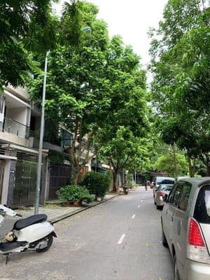 Chính chủ Cho thuê nhà 5 tầng Khu Tổng cục 5 - Tân Triều