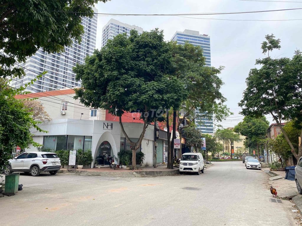 Bán đất full thổ cư : 80m Vĩnh Ngọc, Cầu Nhật Tân - Ảnh 3