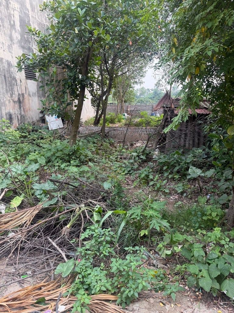 Bán đất OTO tránh, đường Cổ Loa,80m, mặt tiền 8m. Đường thông