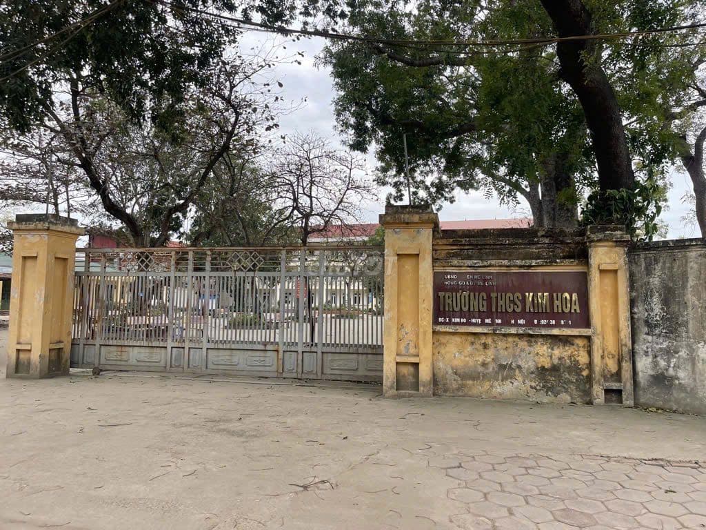 ✨️✨️ Bán 115m2 Đất Ngọc Trì, Kim Hoa – Đầu tư cực đỉnh – Gần KCN - Ảnh 3