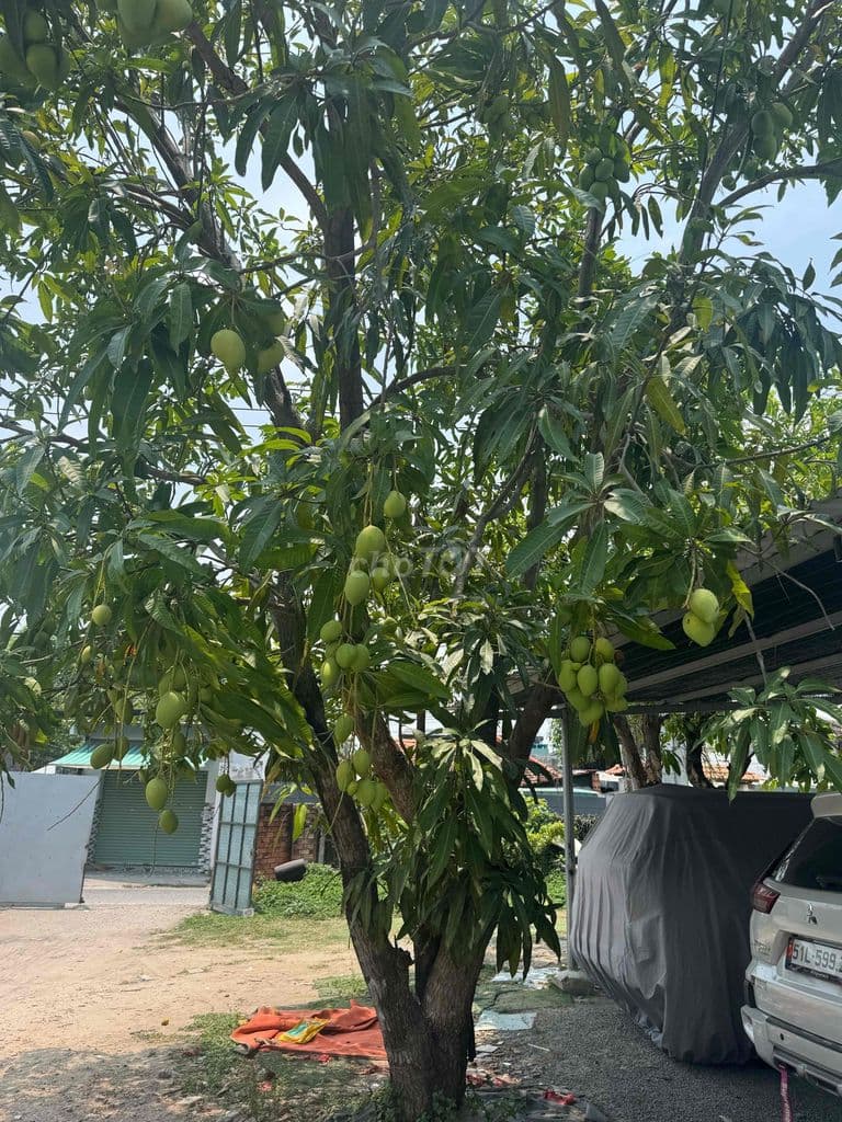 Lô Đất 59m2 Full Thổ Sổ Riêng Lê Văn Việt - Ảnh 3